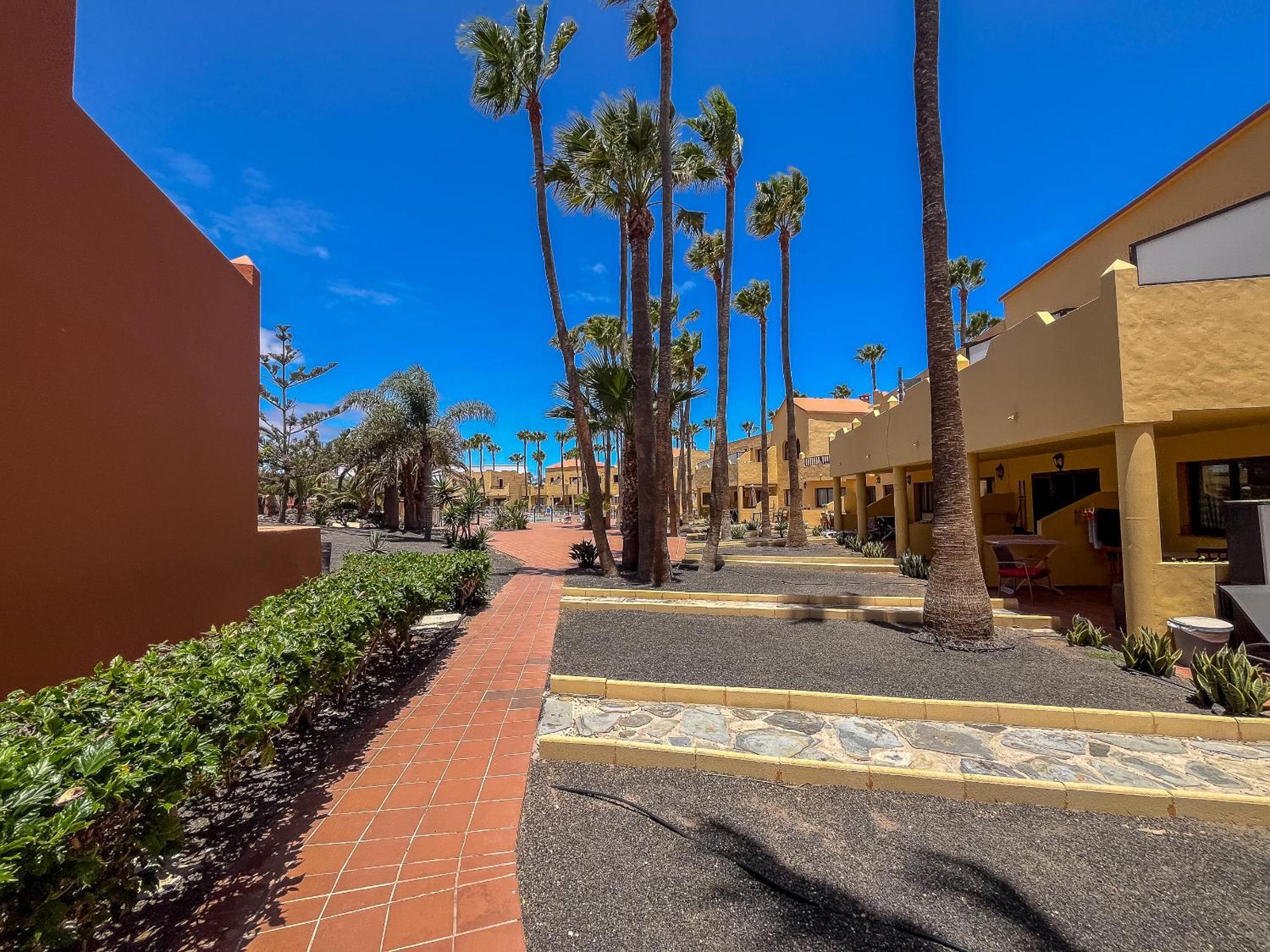 Oasis Royal 14 apartamento vista piscina Corralejo by Lightbooking Exterior foto